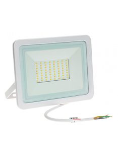 NOCTIS LUX 2 SMD 230V 50W IP65 CW fehér